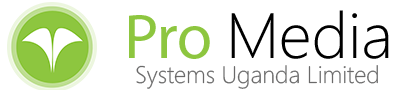 Pro Media Systems LLC